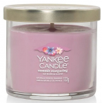 Yankee Candle Summit Stargazing - v&auml;ike l&otilde;hnak&uuml;&uuml;nal 1 tahiga