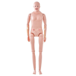 Elusuurune meditsiiniline manikin