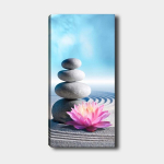 Reproduktsioon Meditatsioon