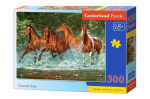 Puzzle 300 Cascade Run 030361