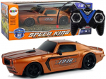RC sportauto Champion, 1:18, pruun