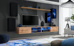 Sektsioon ASM Switch XXV, must/pruun