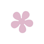 Dekoratiivne augustaja, Lill, 16 mm