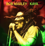 Vin&uuml;&uuml;l (LP) BOB MARLEY "Kaya"
