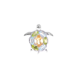 Pross SPPBO6085C