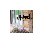 Amplihoidja Linnukesed