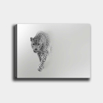 Reproduktsioon Leopard