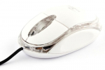 Titanum TM102W, valge