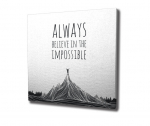 Reproduktsioon Always believe in the impossible