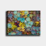 Reproduktsioon Sukulendid