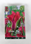 Tulbid Green Love Flora Elite, 7 tk