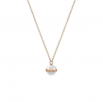 Naiste kaelakee Daniel Wellington DW00400157