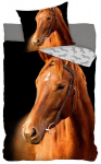 Laste voodipesukomplekt The Horses, 140&times;200, 2-osaline