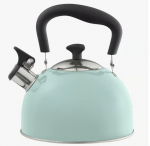 Samba Ambition veekeetja koos vilega, 2,2 L, roheline