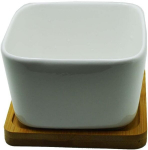 Palmetto keraamiline lillepott 10 x 10 x 6 cm