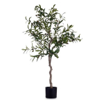 Taimed - IBERGARDEN - Mitmekesine - 85x85x150 cm - Standard - Ilma veereservita