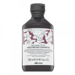 Davines Natural Tech Replumping Shampoo toitev &scaron;ampoon kuivadele ja haprastele juustele 250 ml