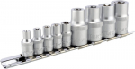 Padrunvotmete komplekt Torx&reg; 1/4&ldquo; ja 1/2&ldquo; Esemete kogus 9 (AvtoDelo) 39829