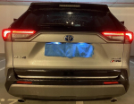 Toyota RAV4 V 2018+ CHROM LEAF pagasiklappide peal