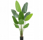 Kunsttaim PALMA BANANANA REALISTILISES TEINES 70cm eksootiline
