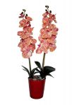 Kunstlik orhidee Karamell