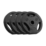 Bituumist raskuste komplekt Rebel Active 4x2,5kg, 31mm auk, k&auml;epidemetega