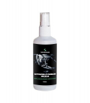 Salongi puhastusvahend Nanoauto Cockpit cleaner