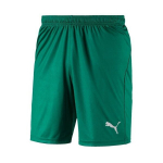 Puma jalgpalliriided Liga Shorts Core Pepper Green, roheline