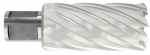 Kroonpuur &Oslash;35X80X50 mm, HSS, pikk seeria. Kinnitus &Oslash;19 mm, Weldon. Haljas