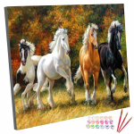 Pilt vastavalt numbritele maal raamil hobune hobused 40x50 cm