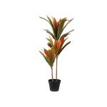 Tehistaim potis, dracena Homla Tropical Zone Basic