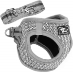 Survevaba koera ja kassi rakmete komplekt Springos PA0235, XS kuni 5,5 kg + 150 cm jalutusrihm, hall