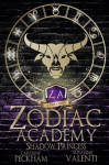 Zodiac Academy 4: Shadow Princess, Zodiac Academy 4: Shadow Princess