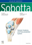 Sobotta Atlas of Anatomy, Vol.1, 17th ed., English/Latin: General Anatomy and Musculoskeletal System, Sobotta Atlas of Anatomy, Vol.1, 17th ed., English/Latin: General Anatomy and Musculoskeletal System