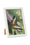 Pildiraam A4 MDF2130/WHITE 21*29.7cm