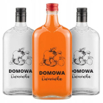 10x klaaspudelit "klasik" 500ml kirjaga "koduvili": ideaalne kingituseks