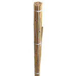 Taimetugi bambusest 1,5m 20tk