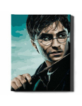 Numbritega maalimise komplekt, Harry Potter ja v&otilde;lukepp, 40x50, Oh-art, ANG583