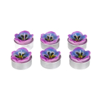 FLORAL AURA Lillade Aroomi Lilla K&uuml;&uuml;nlakomplekt &ndash; 6 dekoratiivset teek&uuml;&uuml;nalt, 126 g