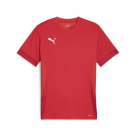 Puma T-s&auml;rgid Meestele TeamGoal Matchday Jersey Red 705747 01 705747 01/S