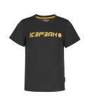 Icepeak poiste T-s&auml;rk 51724-7*290, hall 6438581487523, 176