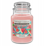 Yankee Candle Watermelon Splash suur l&otilde;hnak&uuml;&uuml;nal