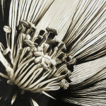 Voodipesukomplekt Eurofirany POS/ST/SPRING/78 Satiin taimedega mustriga 140x200