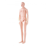 &Otilde;enduse koolitusmannekeen, elusuuruses 175x44x23 cm, mees/naine, PVC