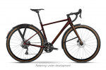 Jalgratas Raymon Territ Pro Street 28" 2026, pruun