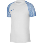 Nike Df Academy Jsy SS laste s&auml;rk, valge DH8369 102