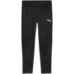 Puma Team Goal Training meeste p&uuml;ksid, mustad 658639 03