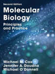Molecular Biology: Principles and Practice 1st ed. 2015