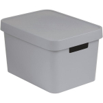 Hoiukast Curver Infinity 17 l, hall