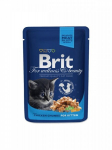 Brit Premium Chicken Chunks in Gravy m&auml;rgtoit kassipoegadele 100g